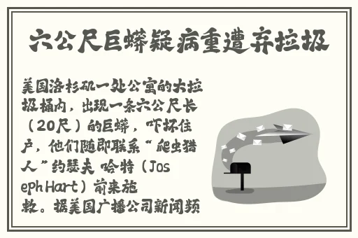 青青青爽在线视频观看